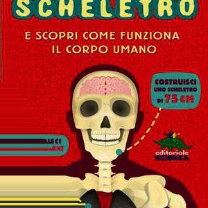 COSTRUISCI IL TUO SCHELETRO E SCOPRI COM