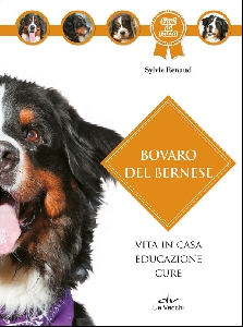 BOVARO DEL BERNESE VA